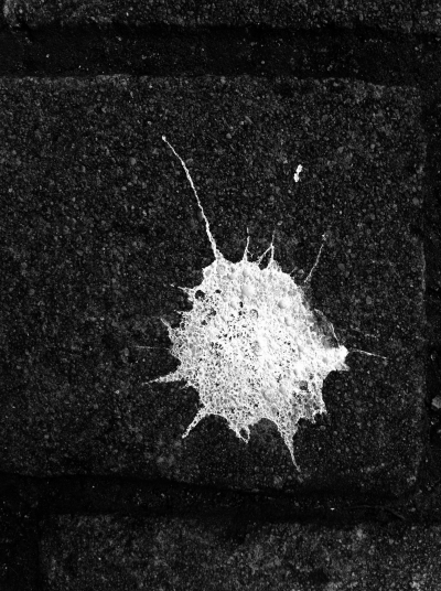 Spiritus flammeus